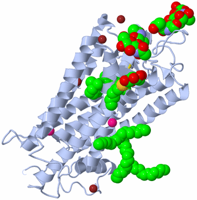 Image Biological Unit 1