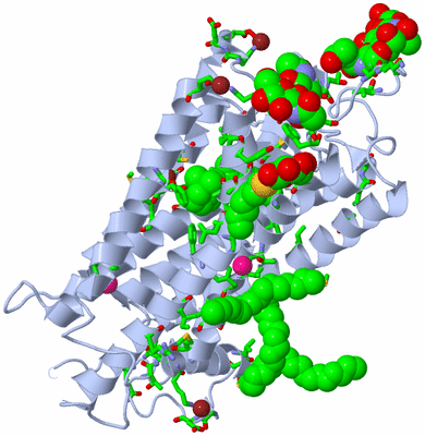 Image Biol. Unit 1 - sites