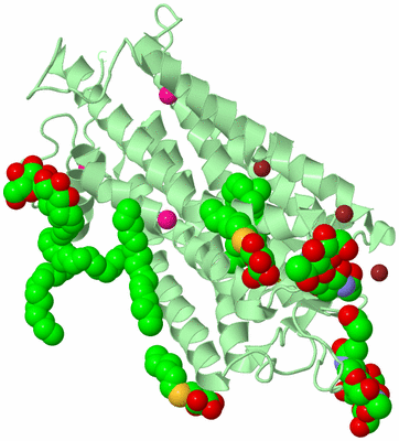 Image Biological Unit 2