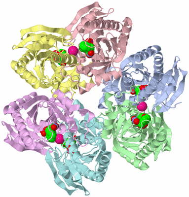 Image Asym./Biol. Unit