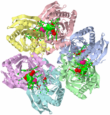 Image Asym./Biol. Unit - sites