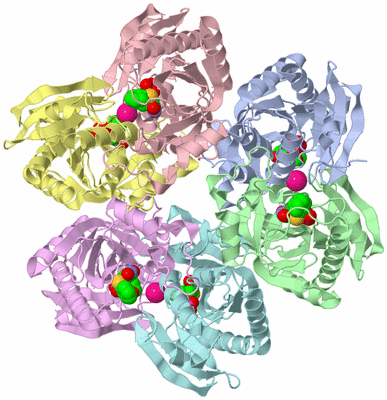 Image Asym./Biol. Unit