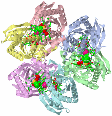 Image Asym./Biol. Unit - sites