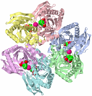Image Asym./Biol. Unit