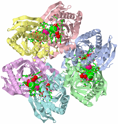 Image Asym./Biol. Unit - sites
