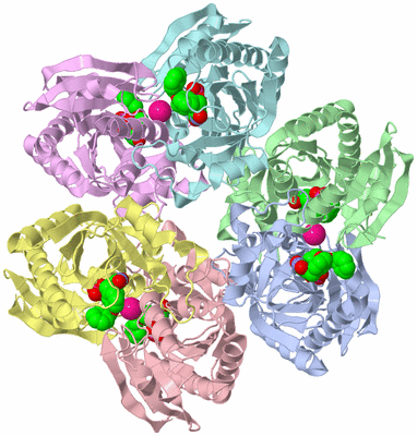 Image Asym./Biol. Unit