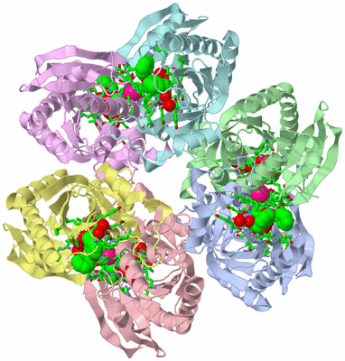 Image Asym./Biol. Unit - sites