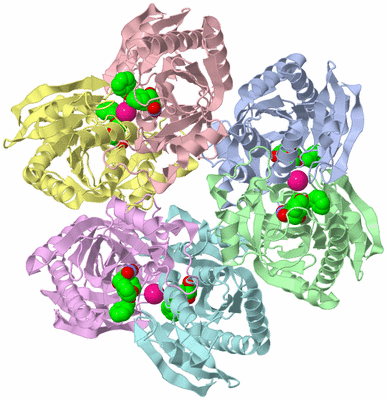 Image Asym./Biol. Unit