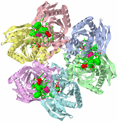 Image Asym./Biol. Unit - sites