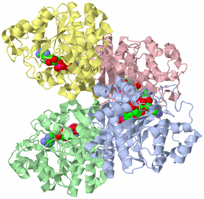 Image Asym./Biol. Unit