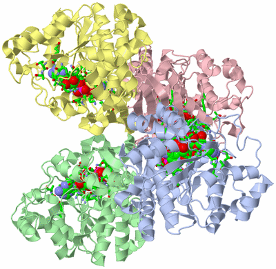 Image Asym./Biol. Unit - sites