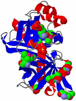Image Asymmetric Unit