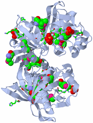 Image Biol. Unit 1 - sites