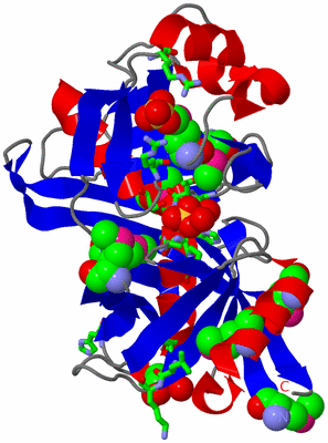 Image Asym. Unit - sites