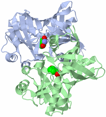 Image Asym./Biol. Unit