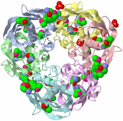 Image Asym./Biol. Unit