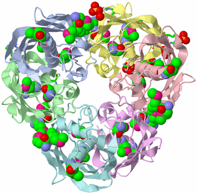 Image Asym./Biol. Unit - sites