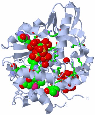 Image Biol. Unit 1 - sites