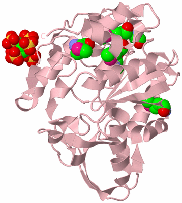 Image Biological Unit 3