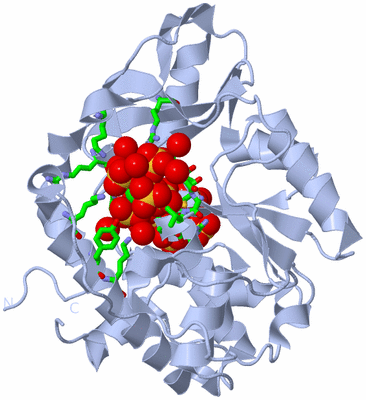 Image Biol. Unit 1 - sites