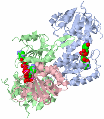 Image Asym./Biol. Unit