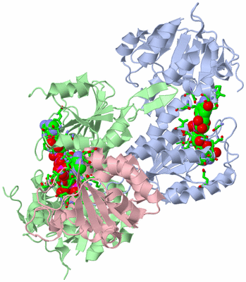 Image Asym./Biol. Unit - sites