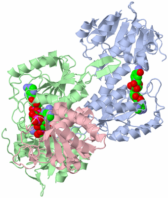 Image Asym./Biol. Unit