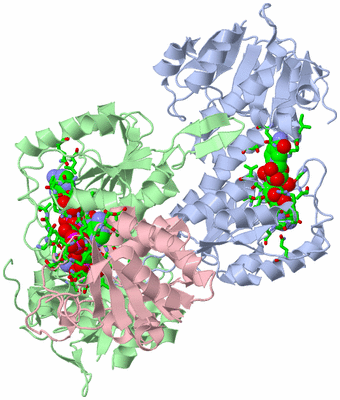 Image Asym./Biol. Unit - sites