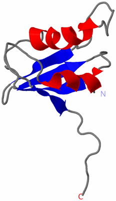 Image NMR Structure - model 1