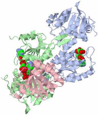 Image Asym./Biol. Unit