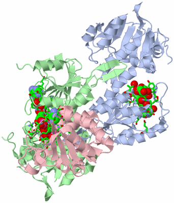 Image Asym./Biol. Unit - sites