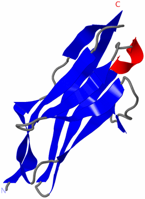 Image Asymmetric Unit