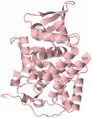 Image Biological Unit 3