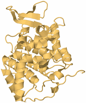 Image Biological Unit 7