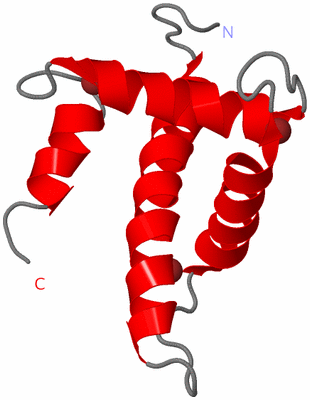 Image NMR Structure - model 1