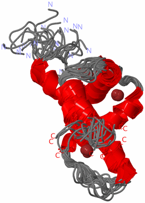 Image NMR Structure - all models