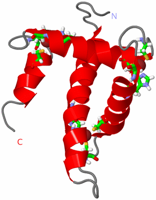 Image NMR Structure - model 1, sites