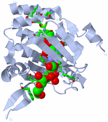 Image Biol. Unit 1 - sites