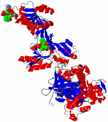 Image Asym./Biol. Unit