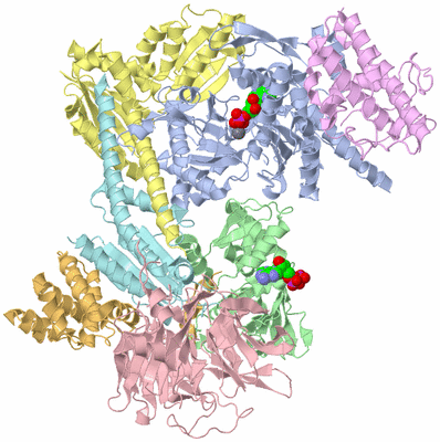 Image Biological Unit 1