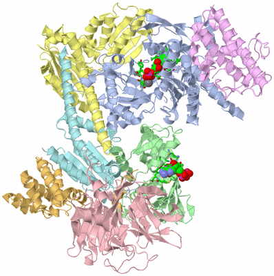 Image Biol. Unit 1 - sites