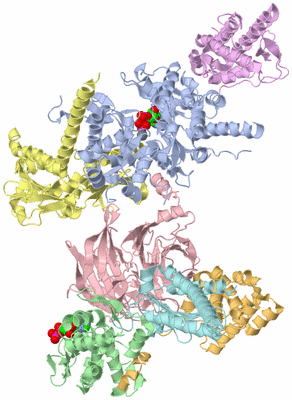 Image Biological Unit 2