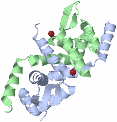 Image Biological Unit 1