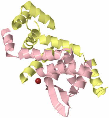 Image Biological Unit 2