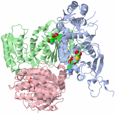 Image Asymmetric Unit