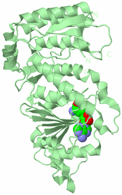Image Biological Unit 2