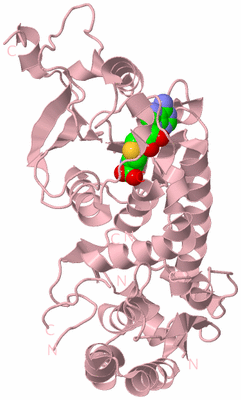 Image Biological Unit 3