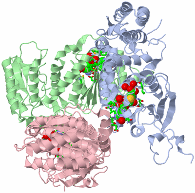 Image Asym. Unit - sites