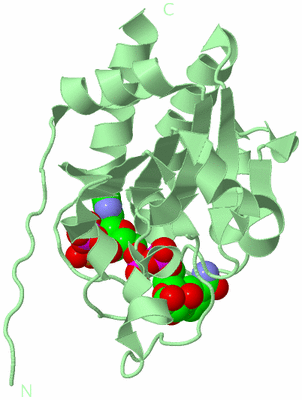 Image Biological Unit 2