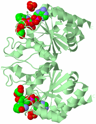 Image Biological Unit 4